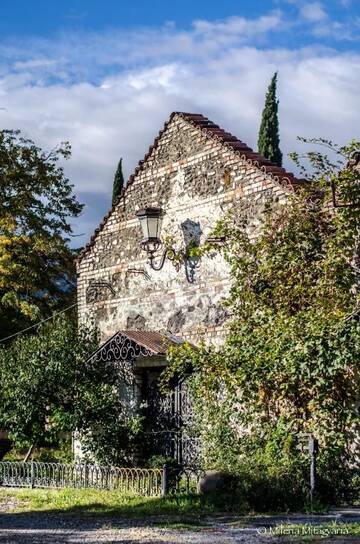 Фотографии Отель Chateau Eniseli г. Энисели (Грузия) №3 Фото Отель Chateau Eniseli г. Энисели 3